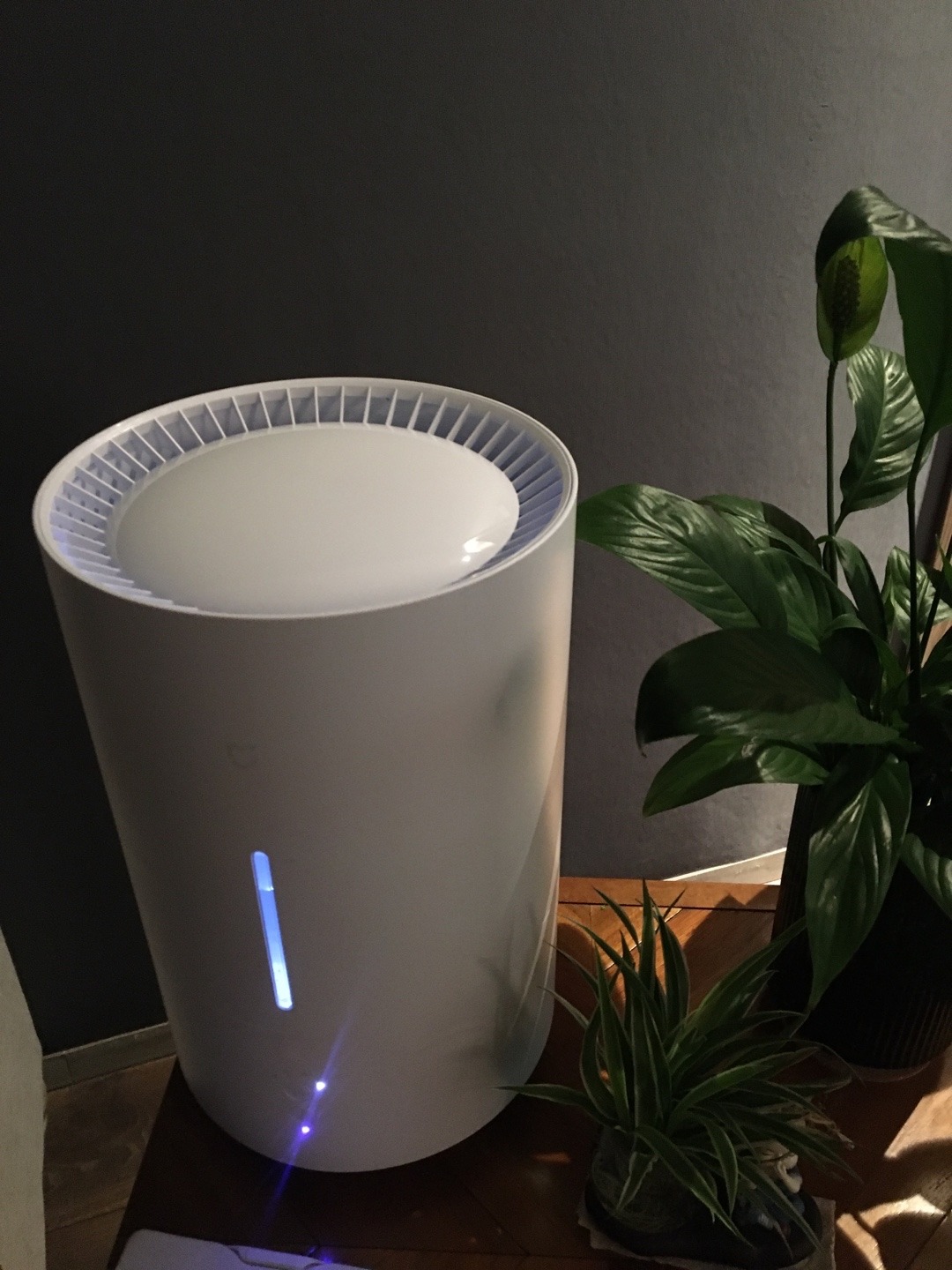 4adc3f46 4bfd 4c25 817e e0732dda