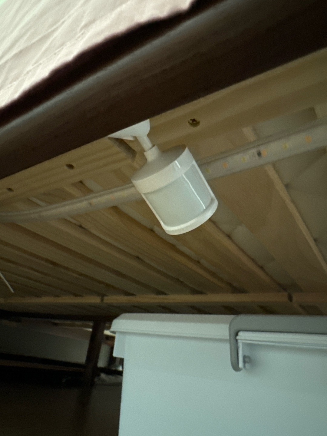 51e5ccce fadf 4464 af86 61d22a16