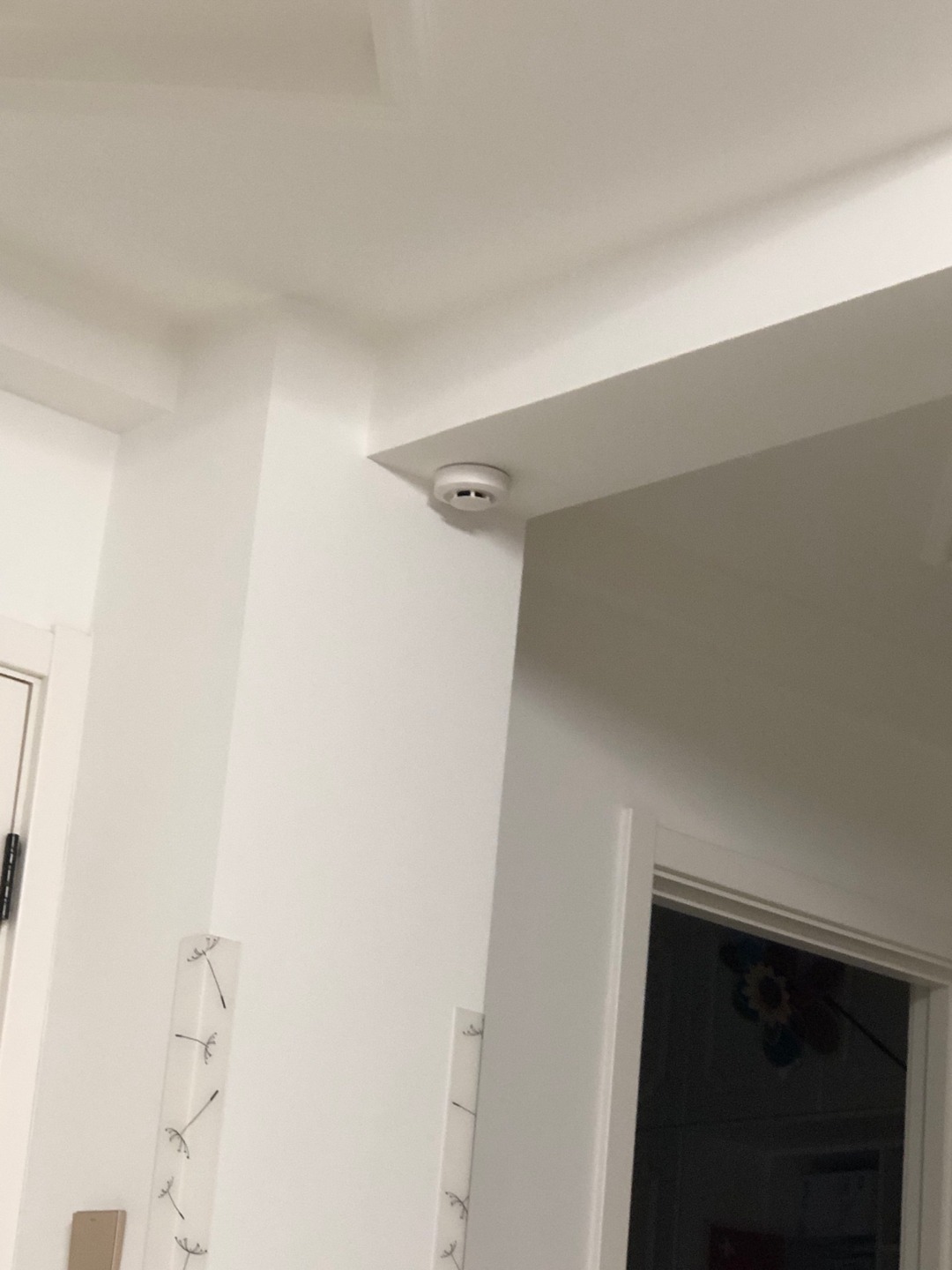 ee7a26e6 a819 4a75 9e0b 595f0b0c