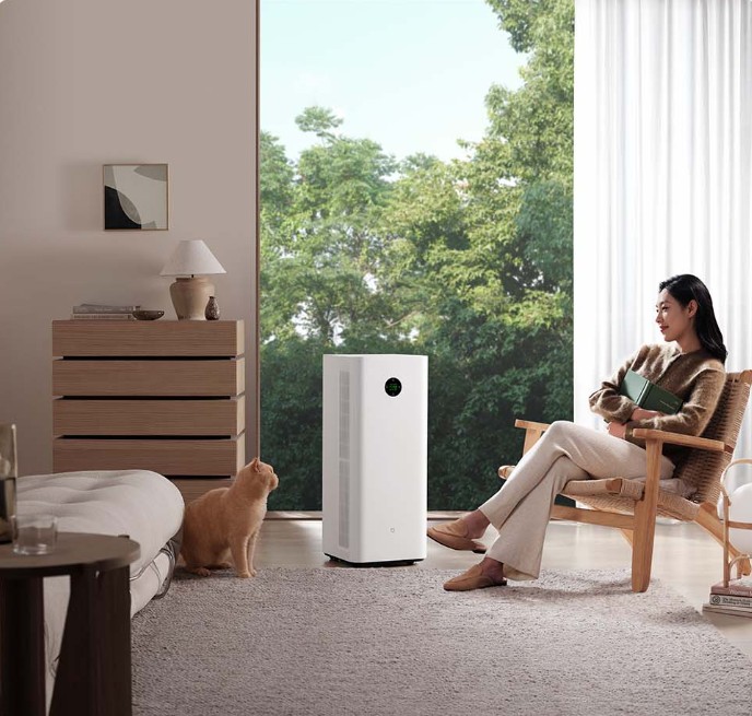 Screenshot 2025 07 20 133207