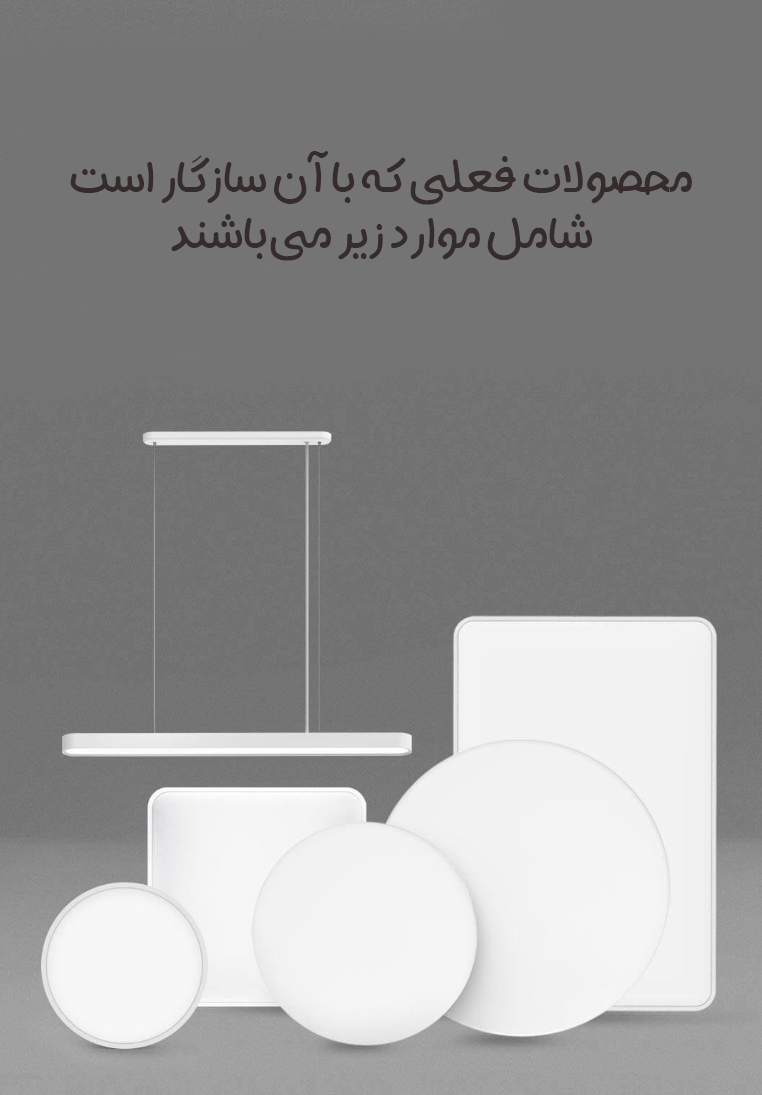 Screenshot 2025 08 06 114153 copy